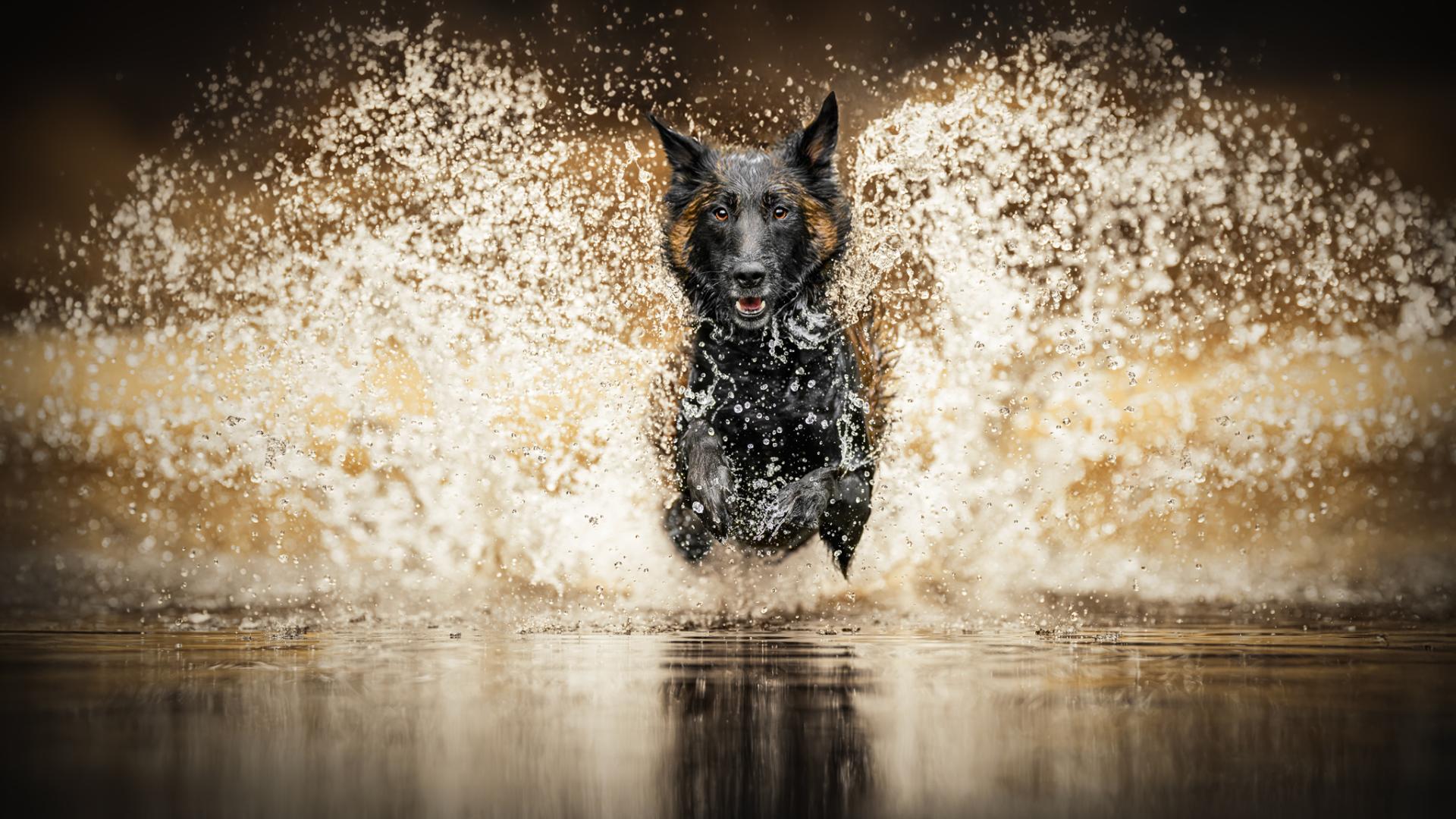 Global Photography Awards Winner - Titan Mode Activated