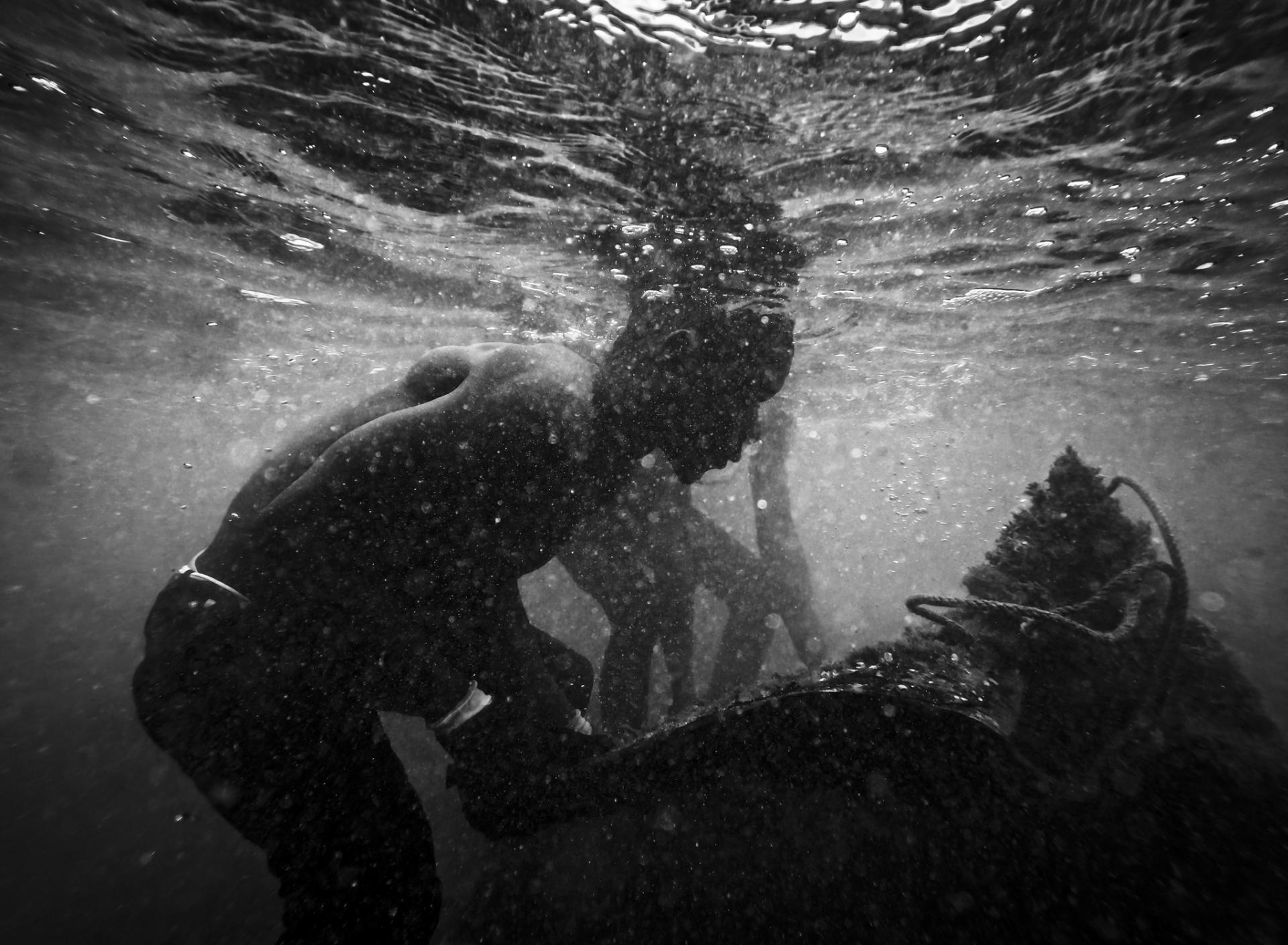 Global Photography Awards Winner - From the bottom of the ocean