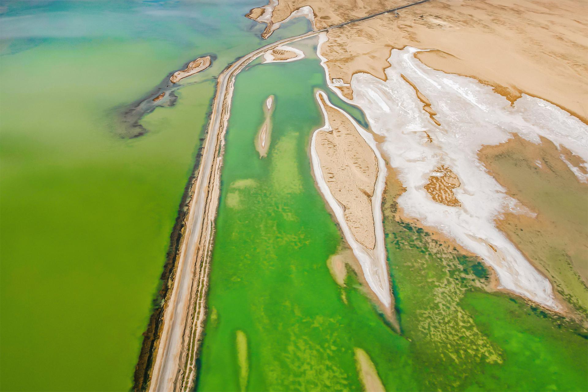 Global Photography Awards Winner - Veins of the Gobi