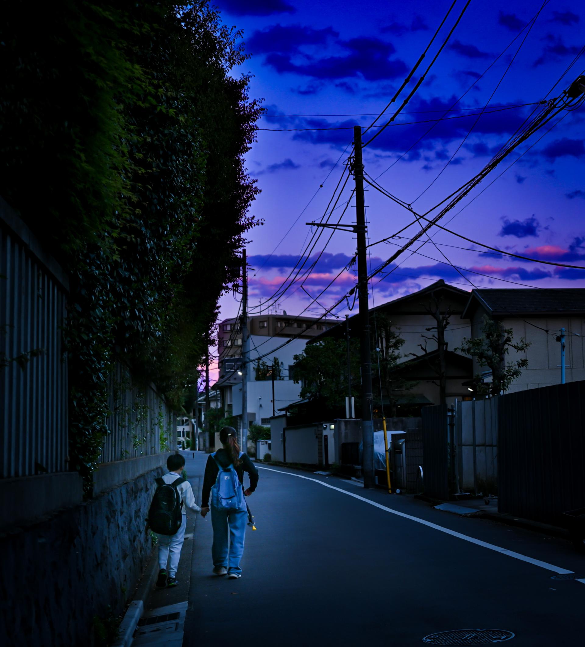 Global Photography Awards Winner - Twilight Walk