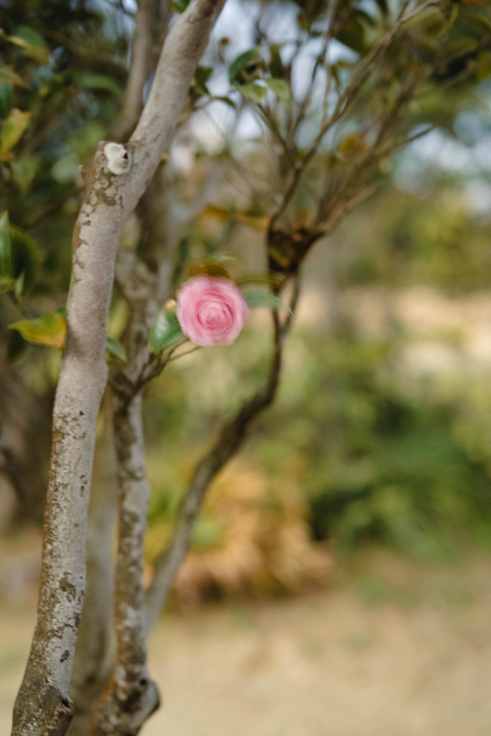 Global Photography Awards Winner - Missing you