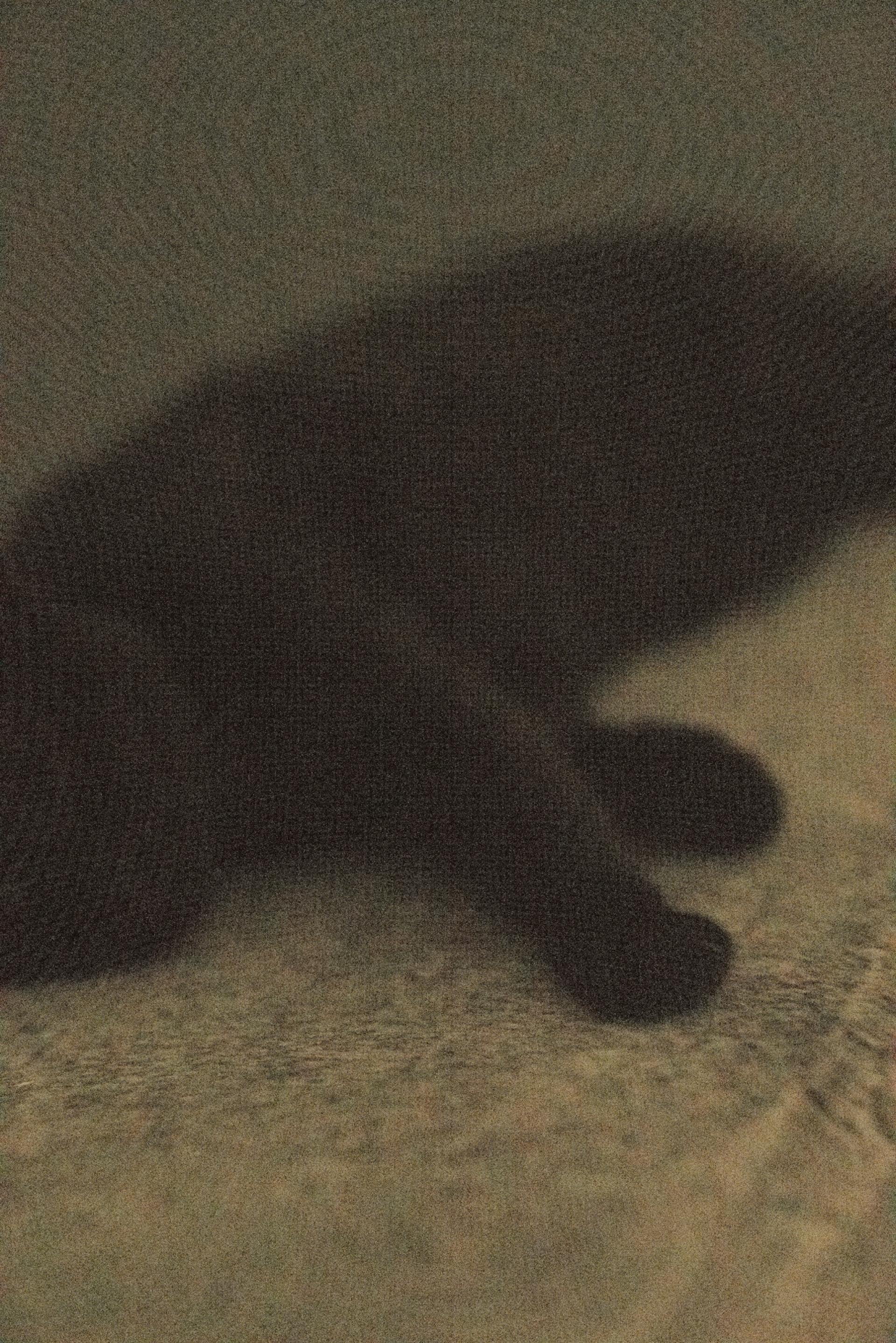 Global Photography Awards Winner - Monster