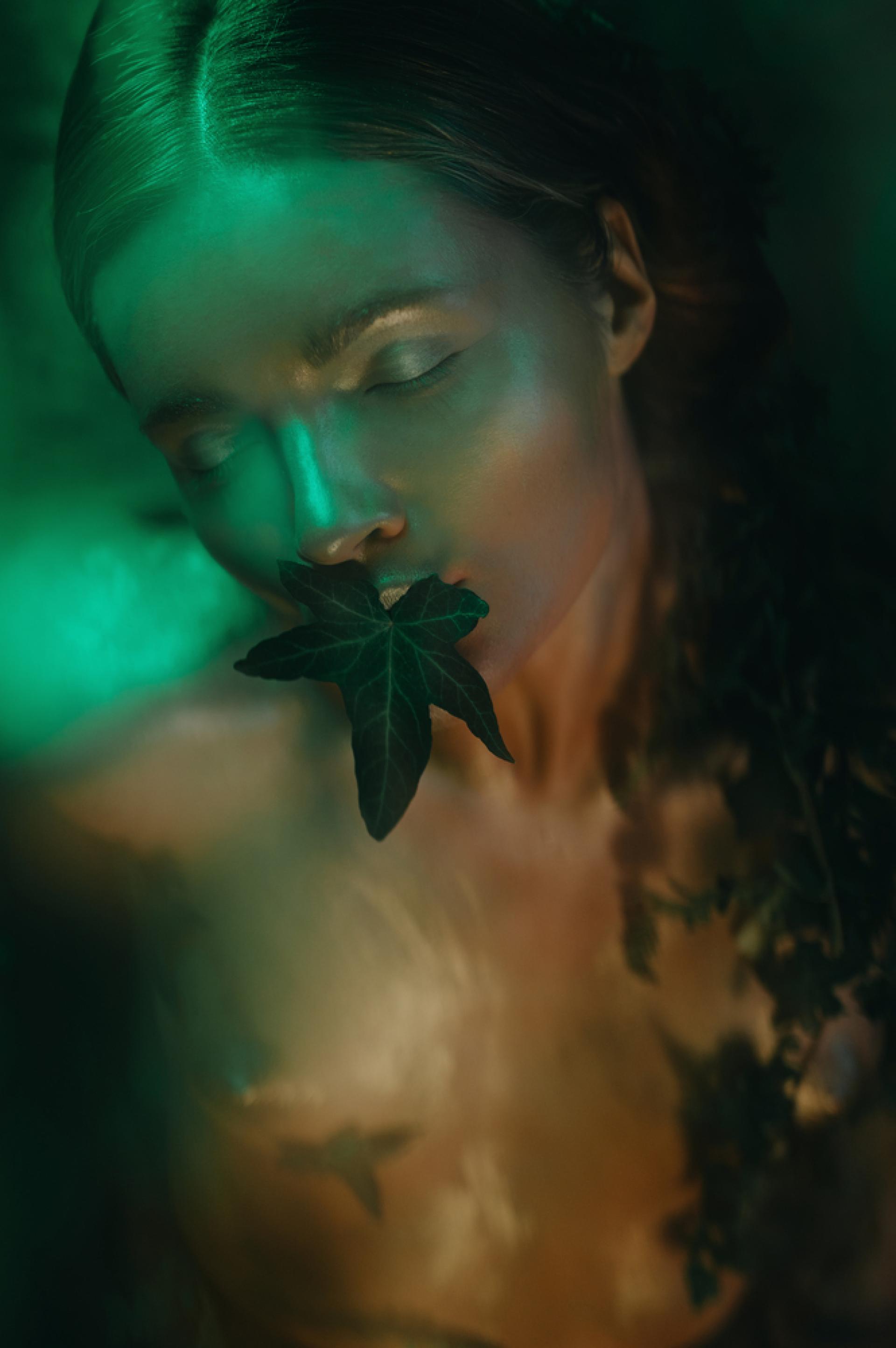 Global Photography Awards Winner - Mother Nature