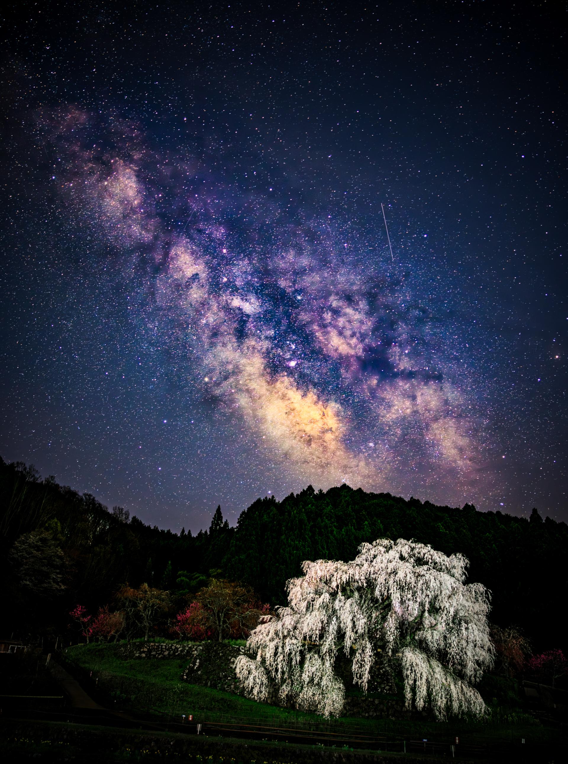 Global Photography Awards Winner - Sakura Under the Milky Way