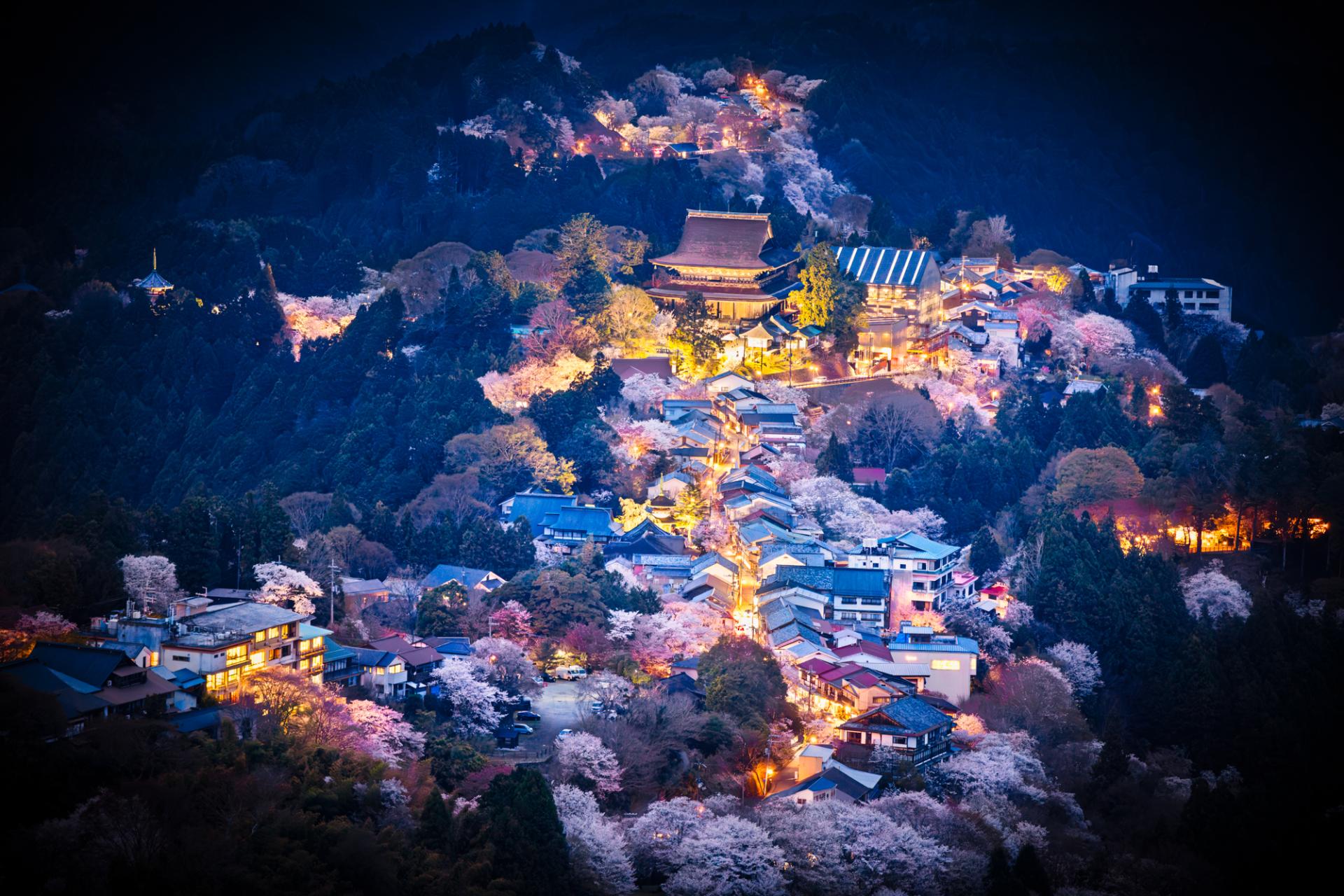 Global Photography Awards Winner - Temple in Blossoms