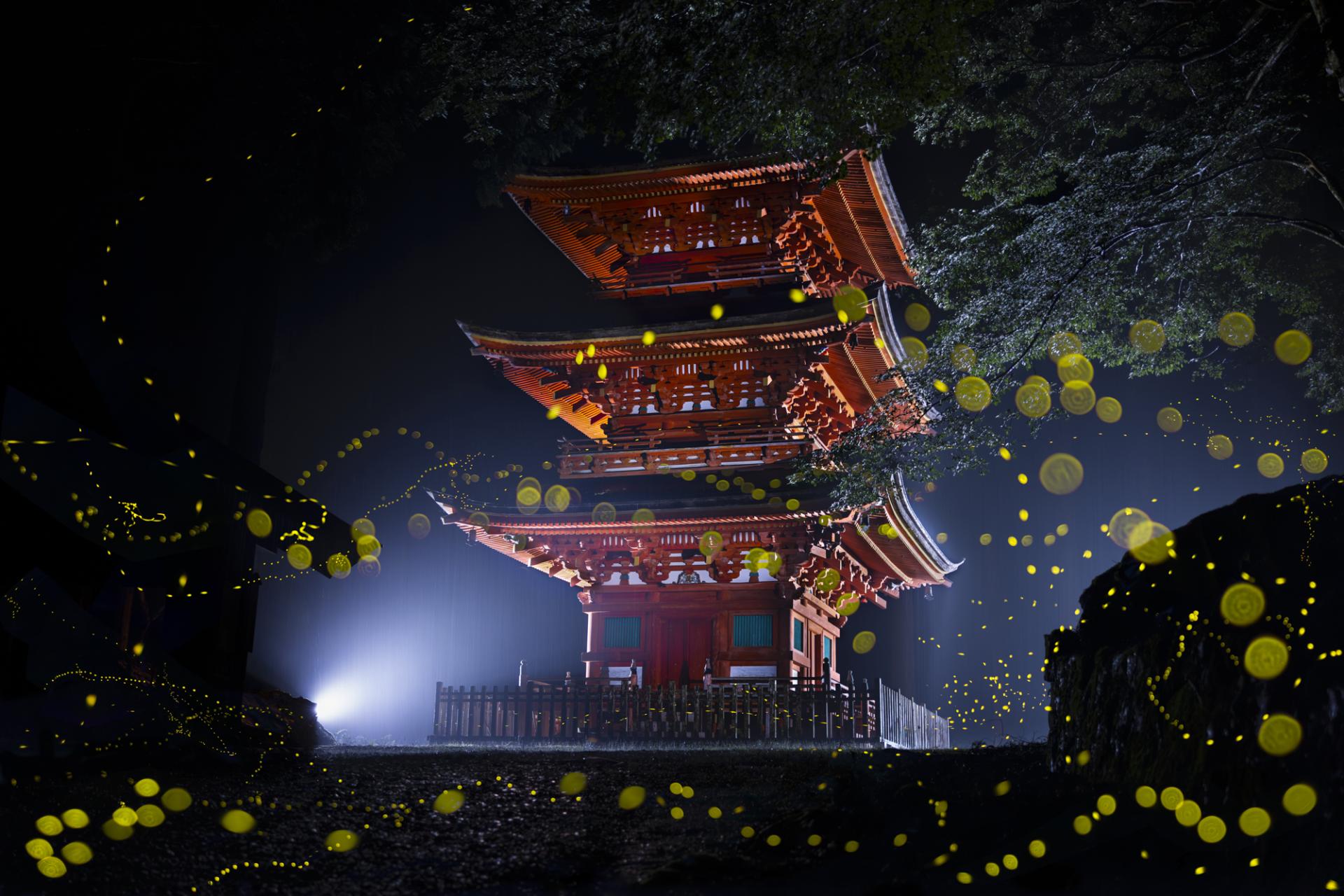 Global Photography Awards Winner - Luminous Elf