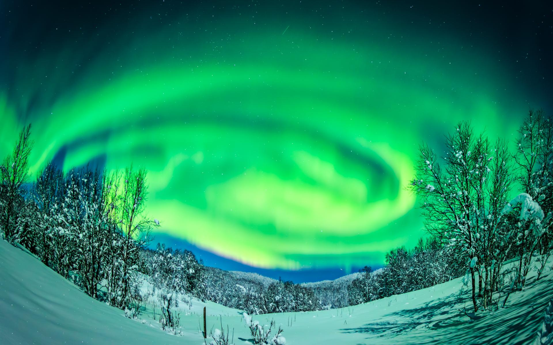 Global Photography Awards Winner - Fantasy Northern Lights