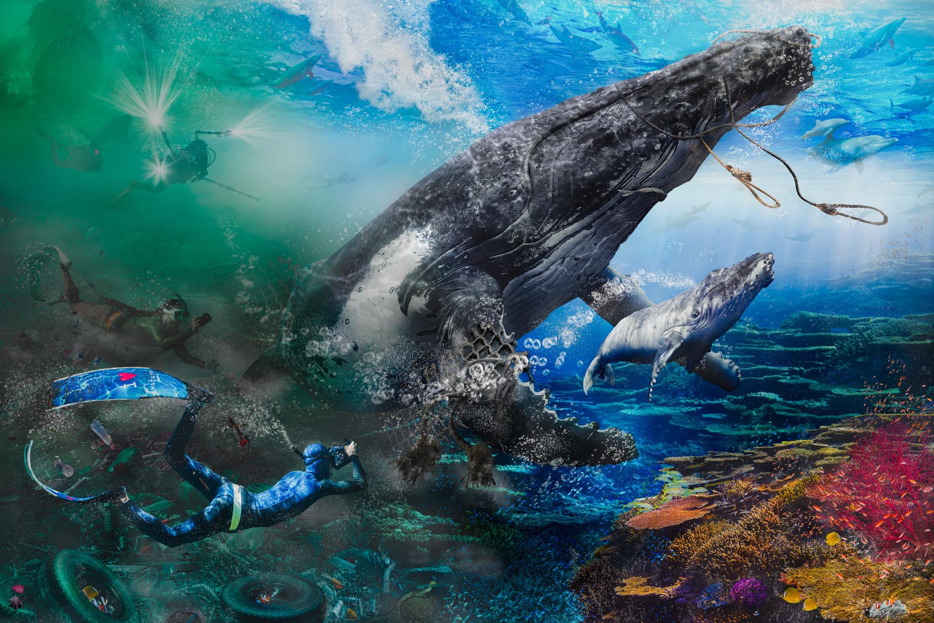 Global Photography Awards Winner - SEE WHAT YOU WANT