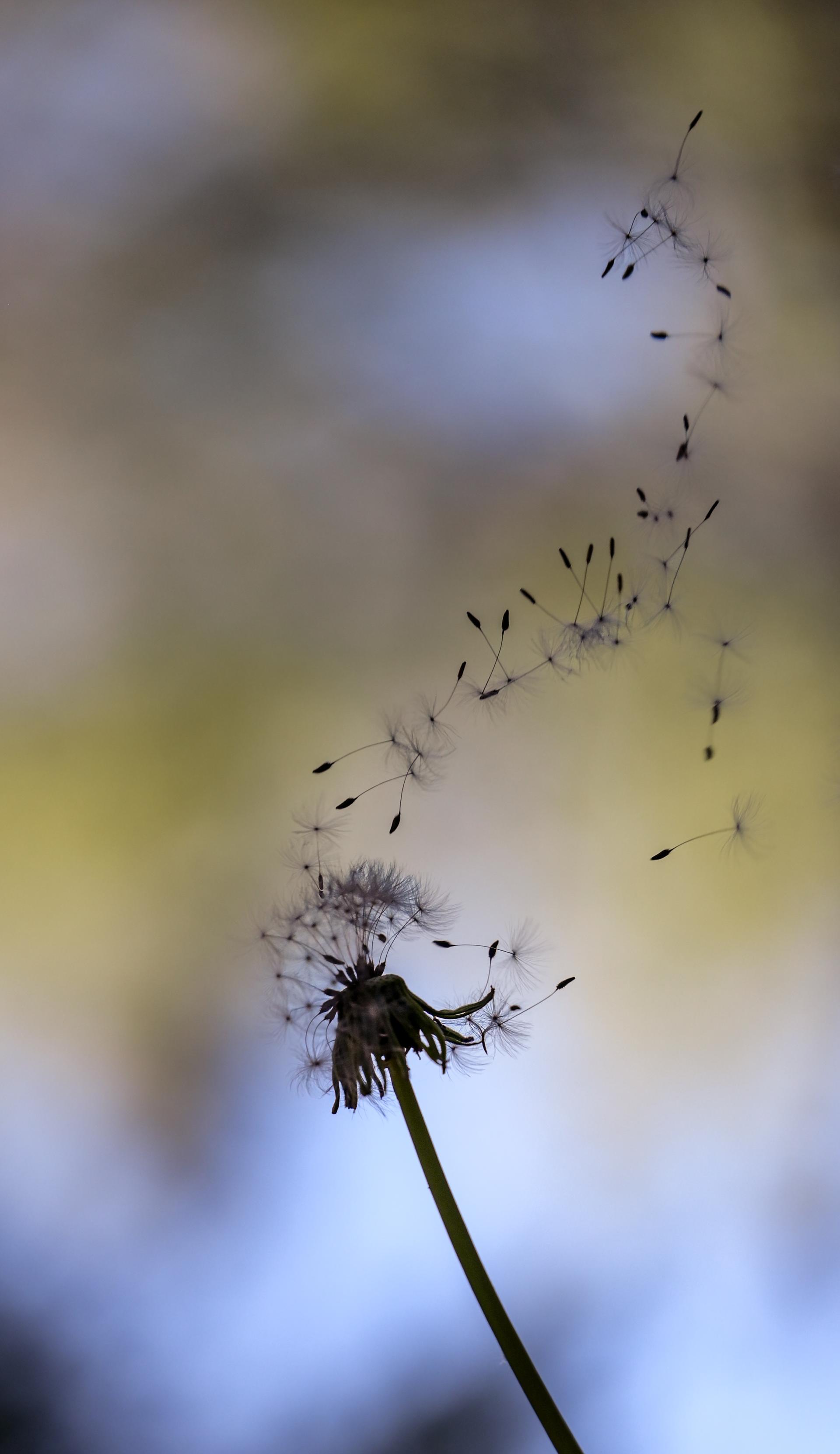 Global Photography Awards Winner - Echoes of a Living Landscape: Between Stillness and Motion
