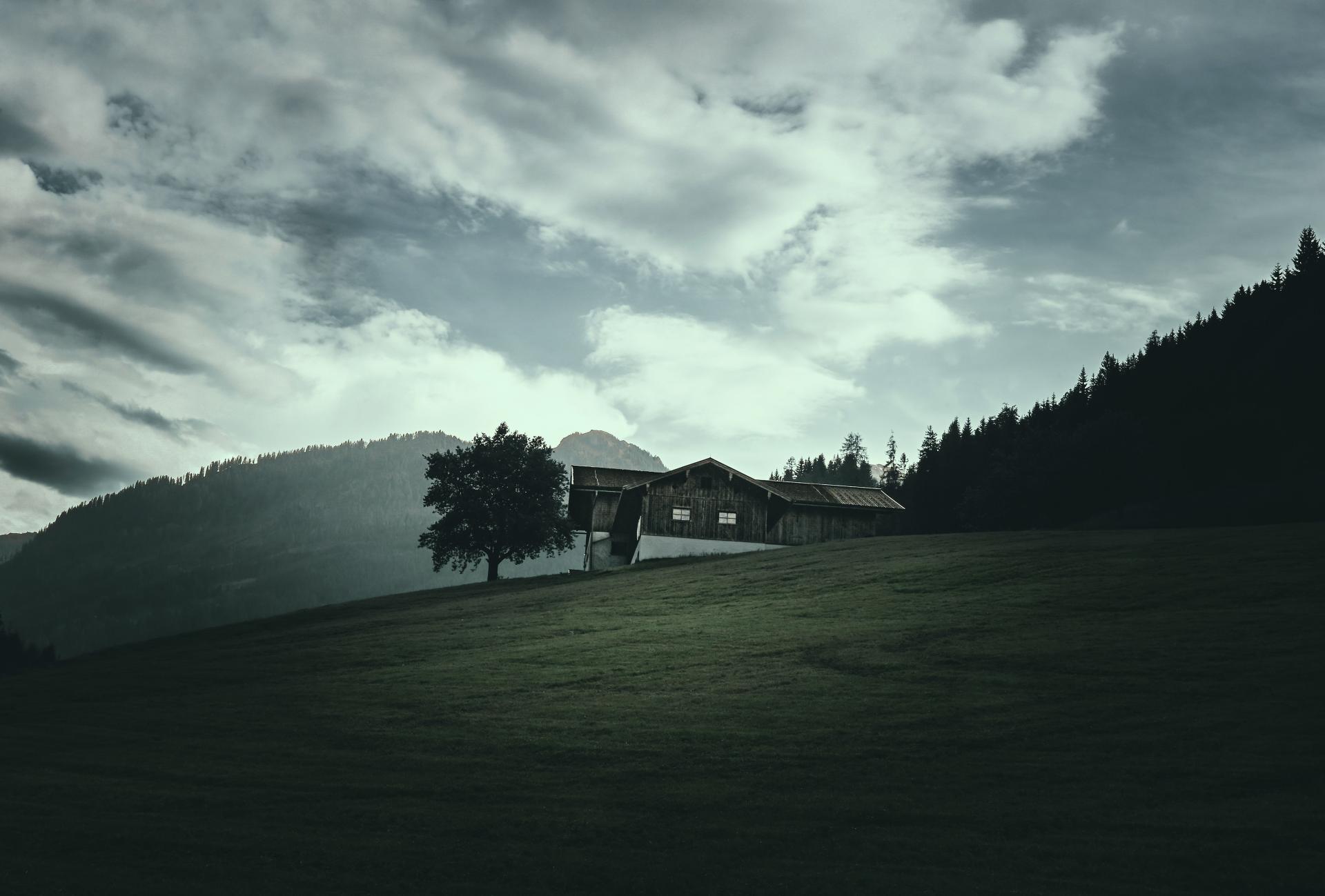 Global Photography Awards Winner - Echoes of a Living Landscape: Between Stillness and Motion