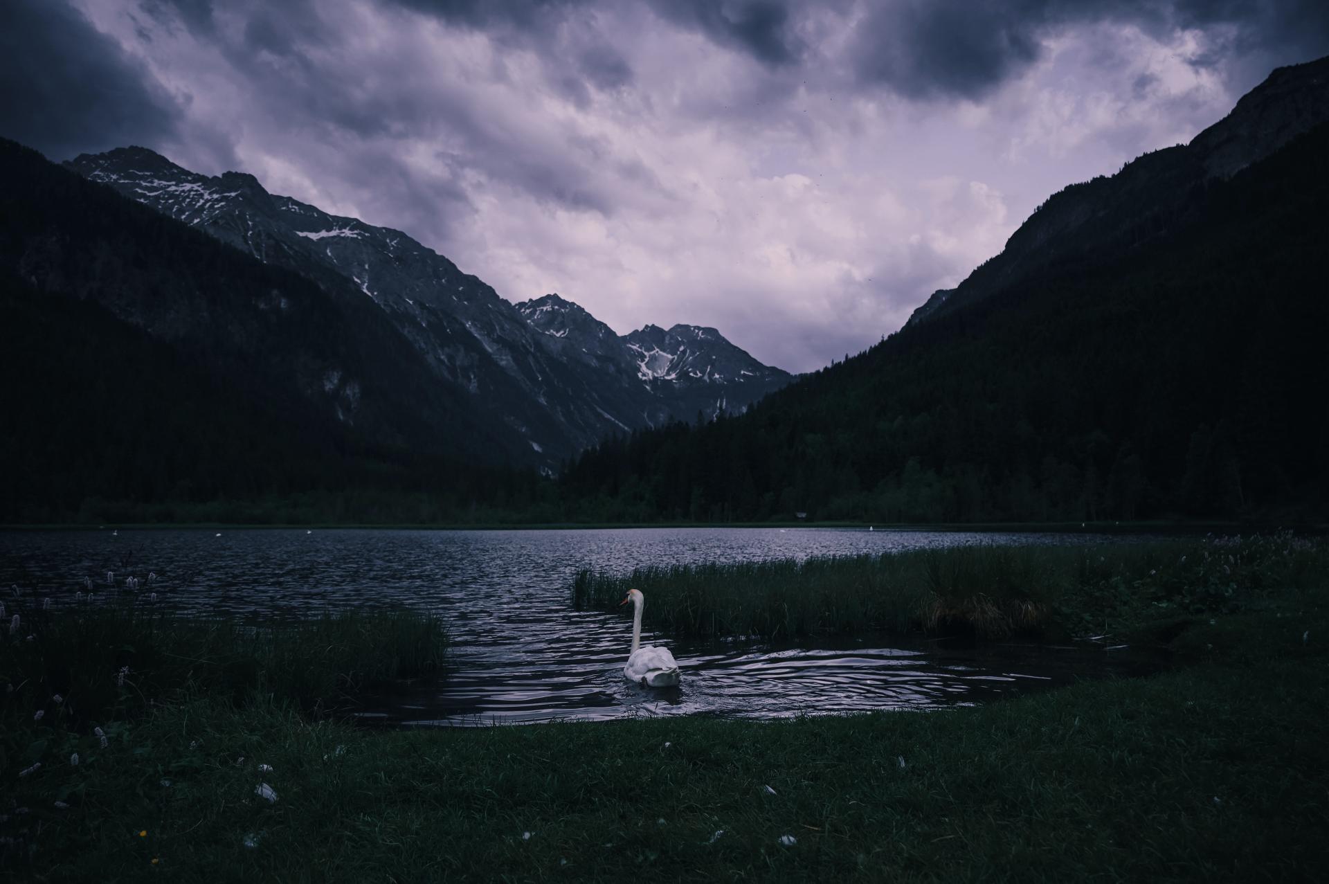 Global Photography Awards Winner - Echoes of a Living Landscape: Between Stillness and Motion