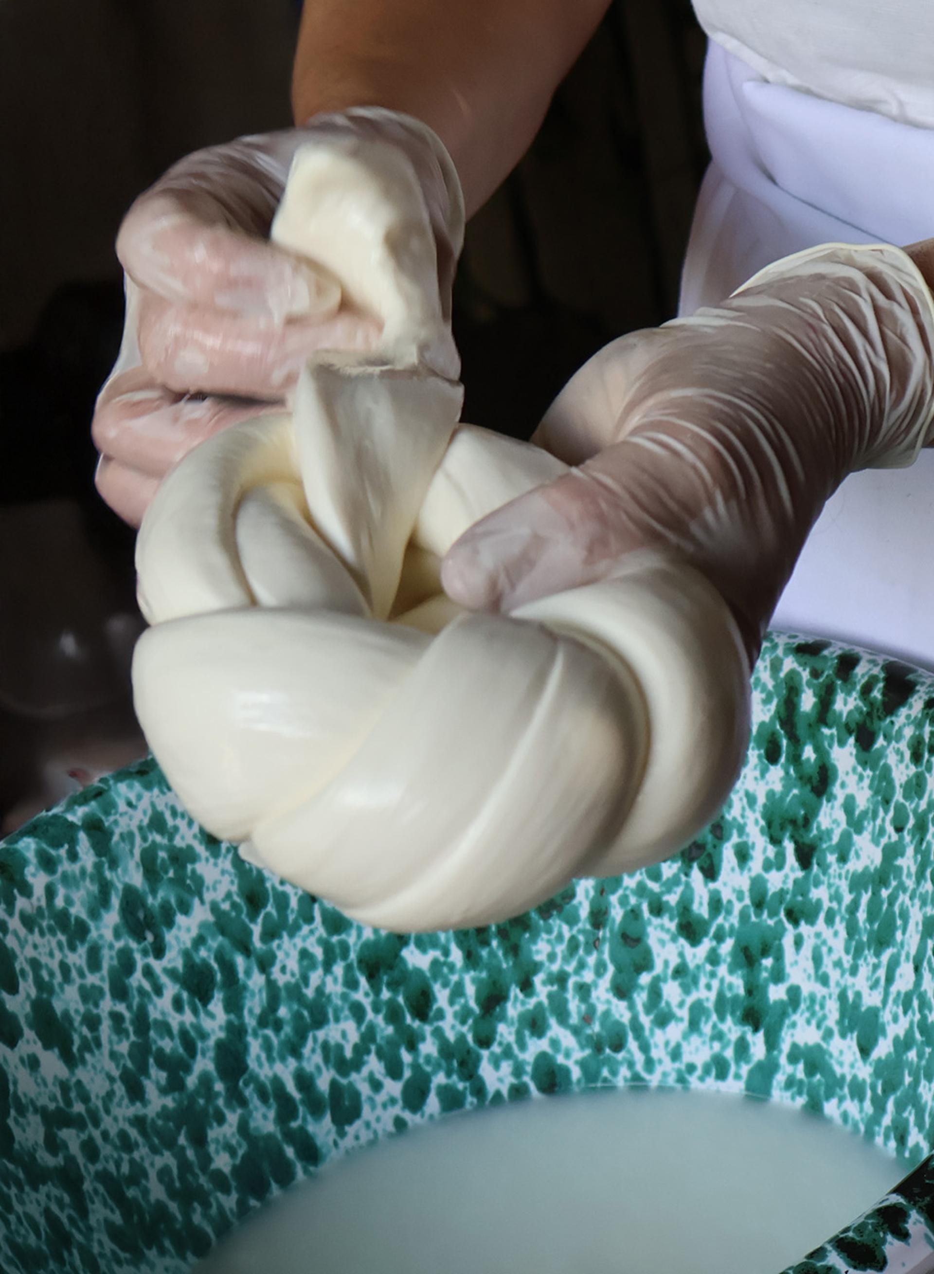 Global Photography Awards Winner - Learning How to Make Cheese