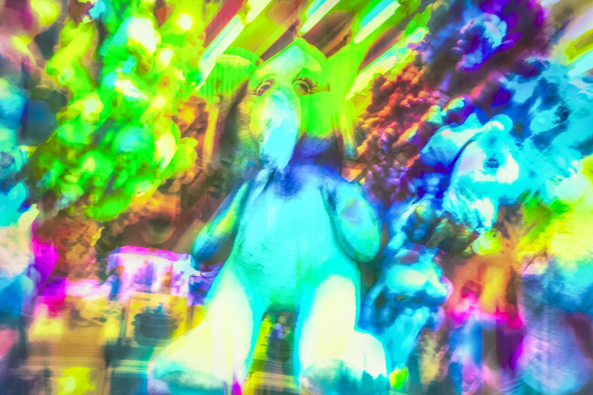 Global Photography Awards Winner - Amusement