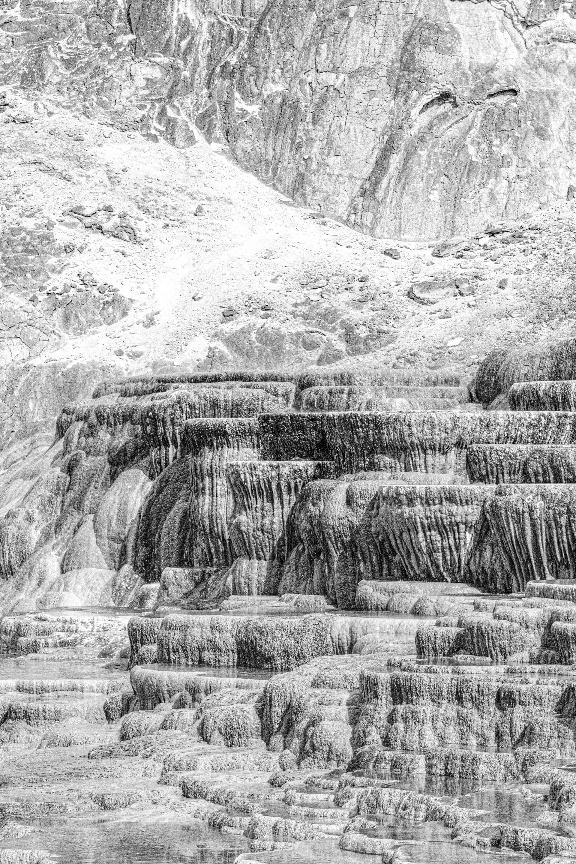 Global Photography Awards Winner - Calcium Forms