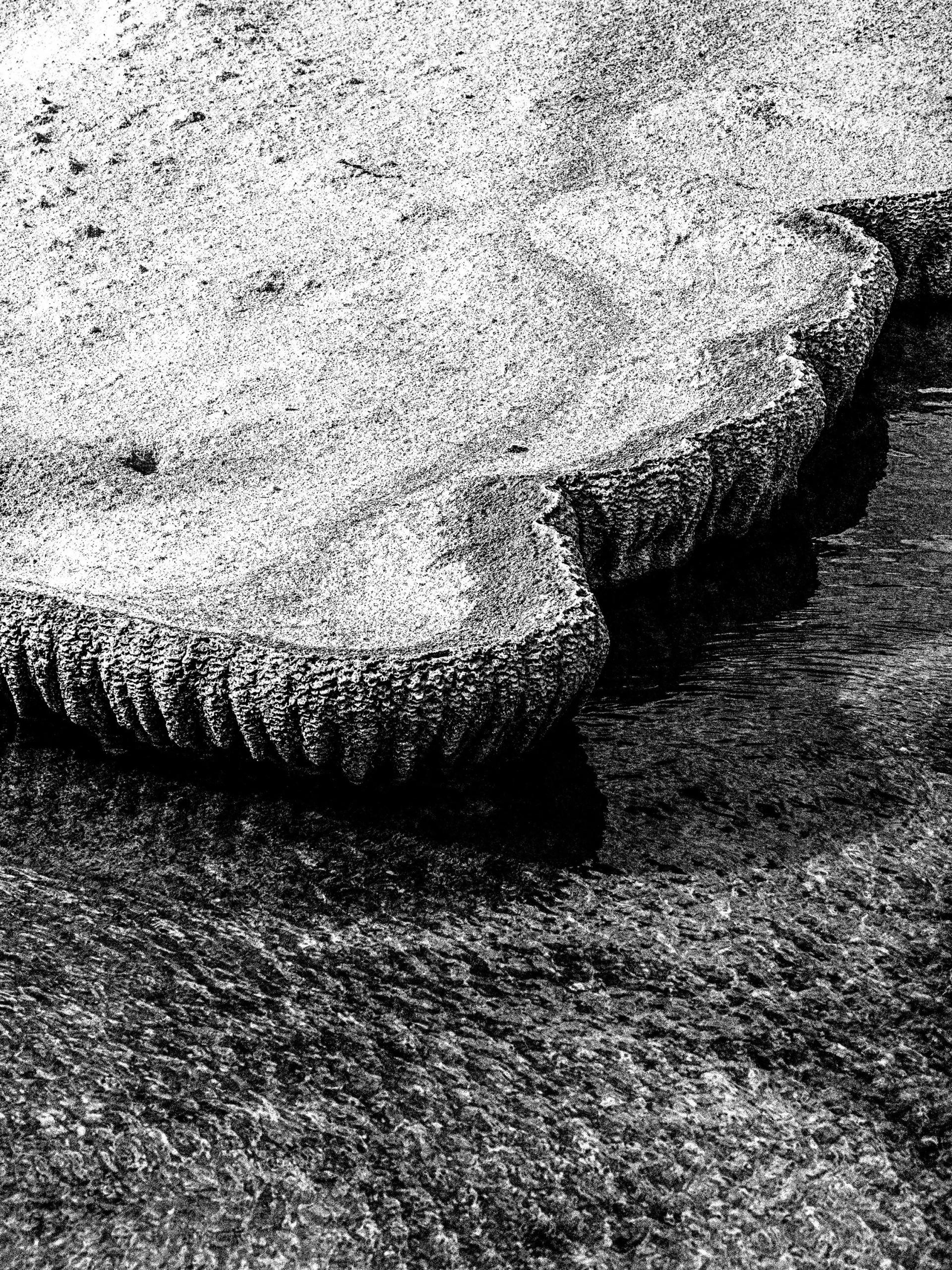 Global Photography Awards Winner - Calcium Forms