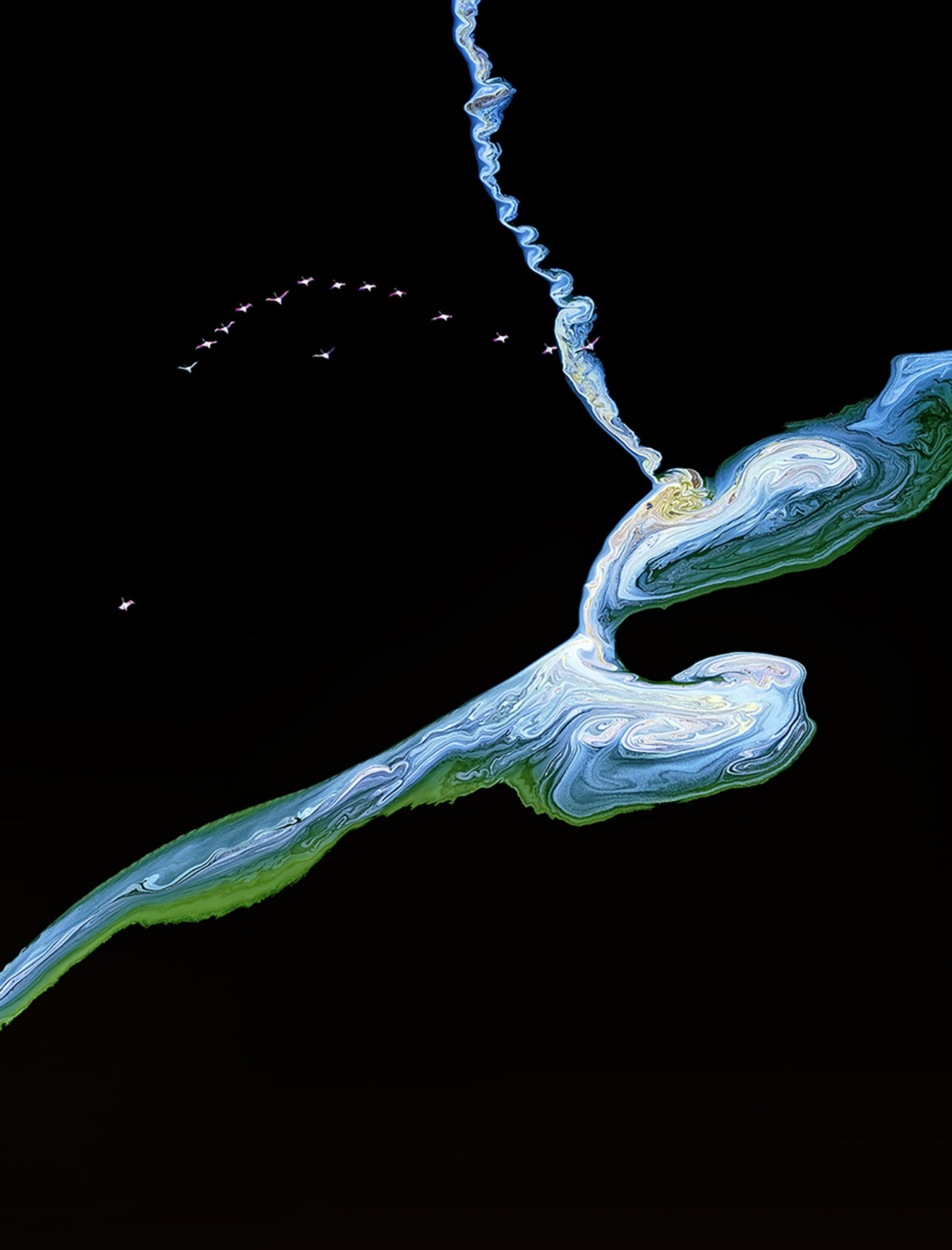 Global Photography Awards Winner - Flight of the pink flamingoes 1