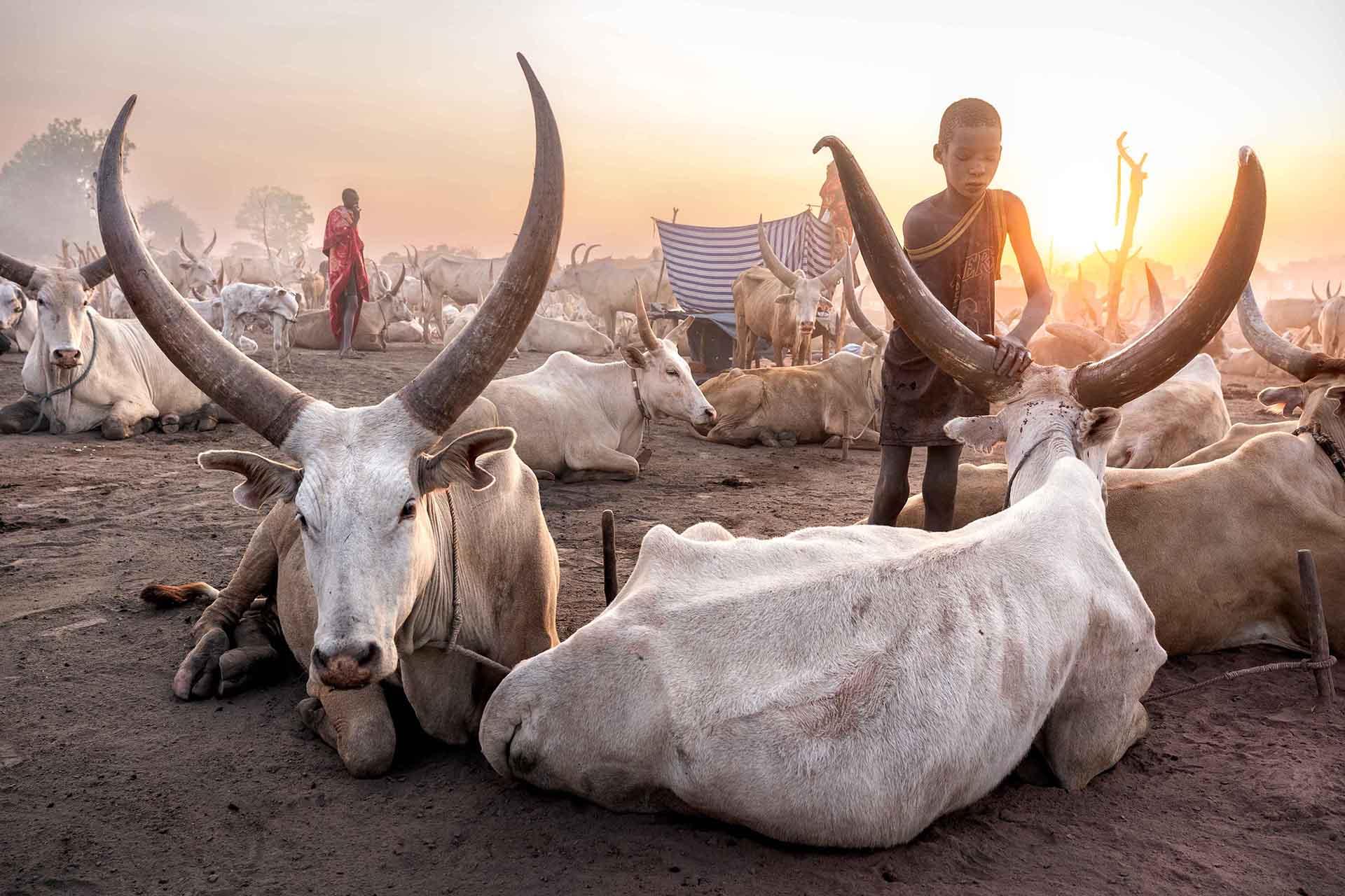Global Photography Awards Winner - Vanishing Worlds