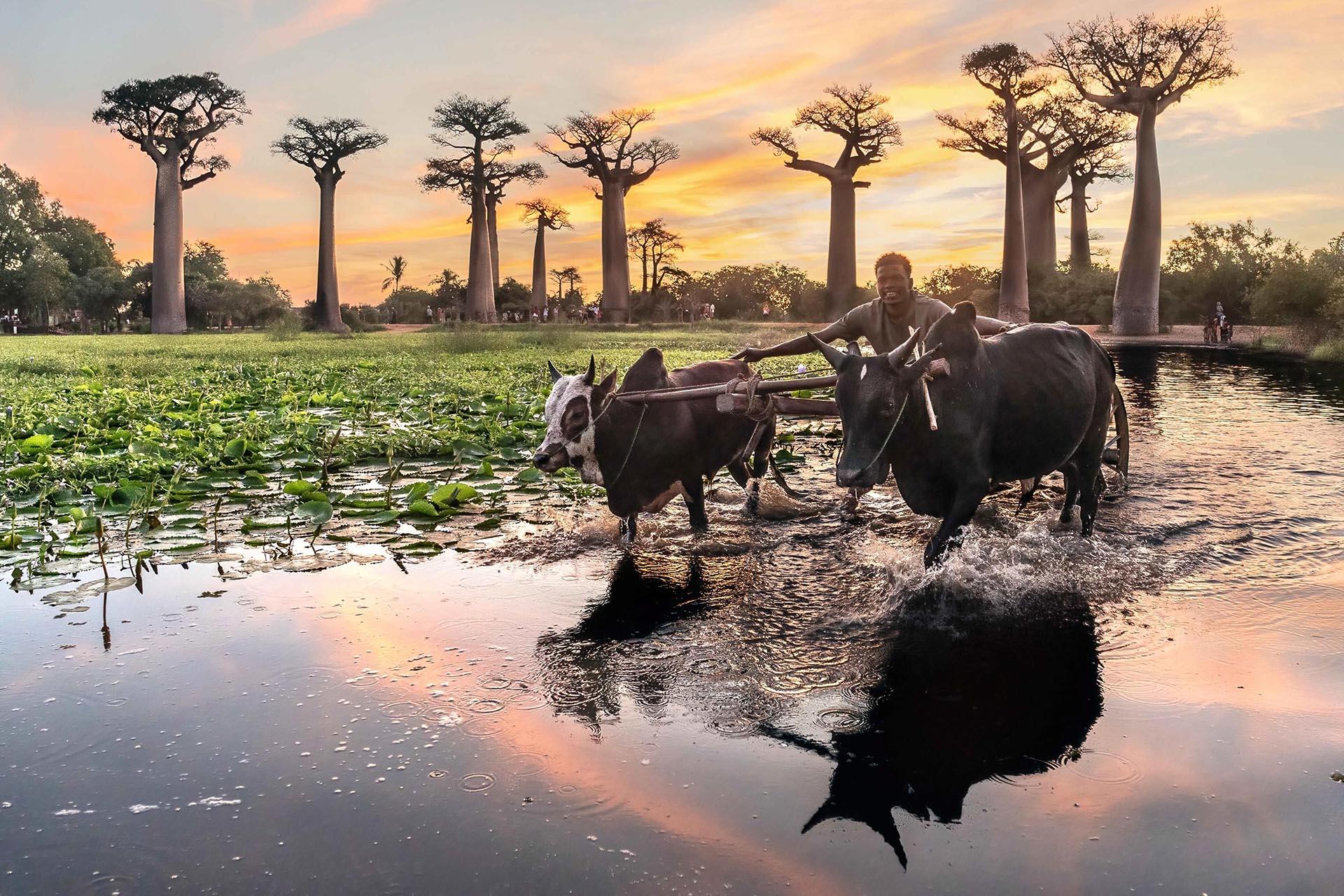 Global Photography Awards Winner - Vanishing Worlds