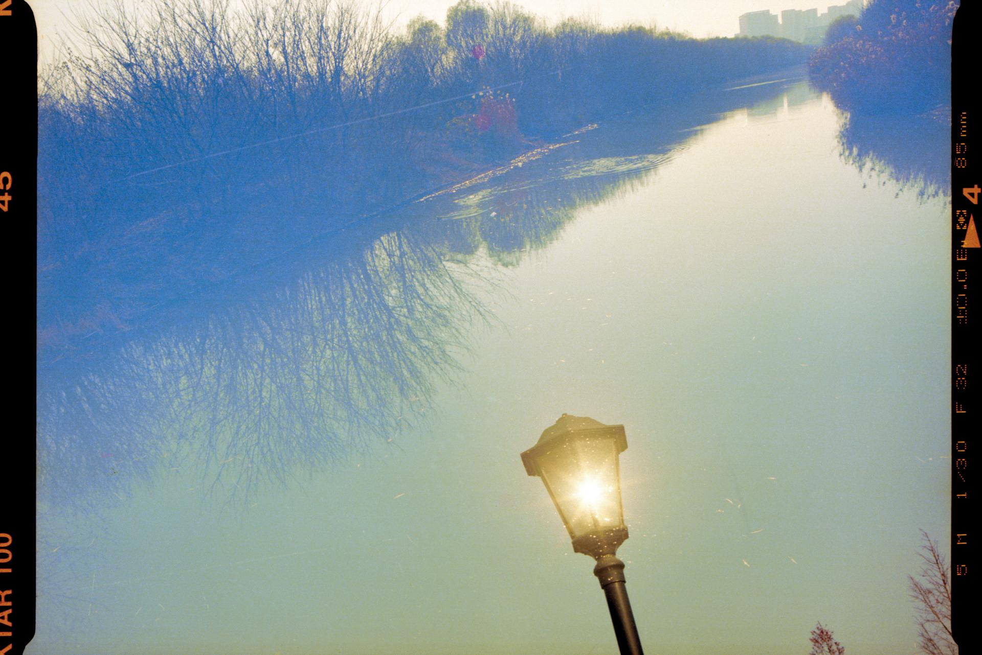 Global Photography Awards Winner - Year 3000 flower blossom, this weather, and today