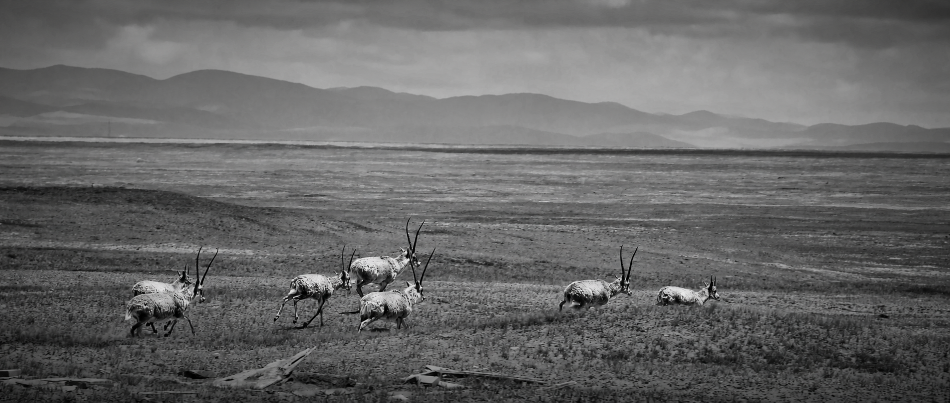 Global Photography Awards Winner - The Plateau in Motion