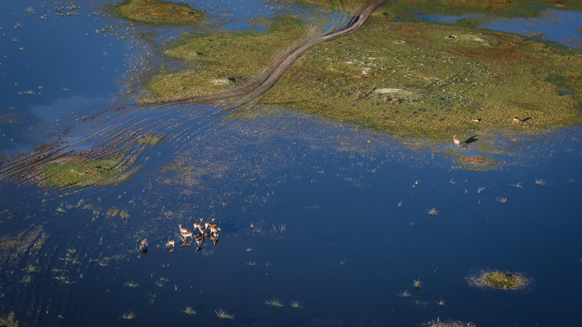 Global Photography Awards Winner - Where Water Writes