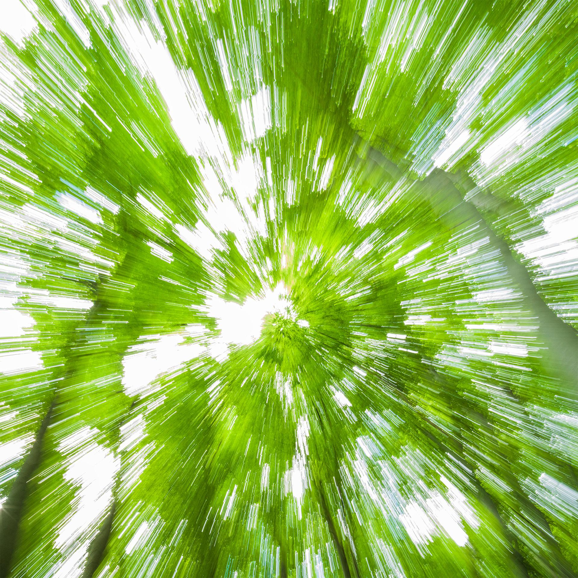 Global Photography Awards Winner - Verdant Current