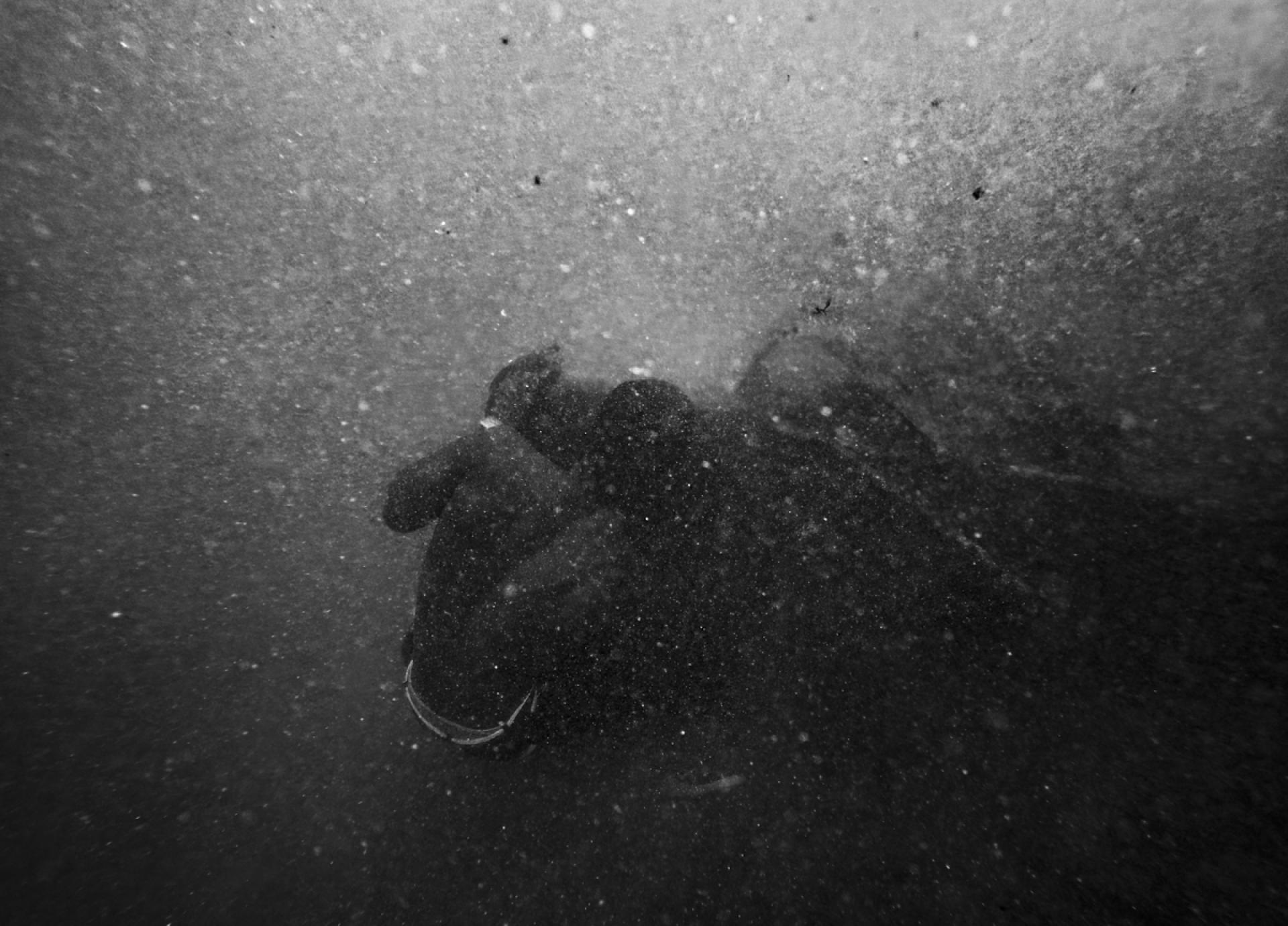 Global Photography Awards Winner - Pride Born of Iron