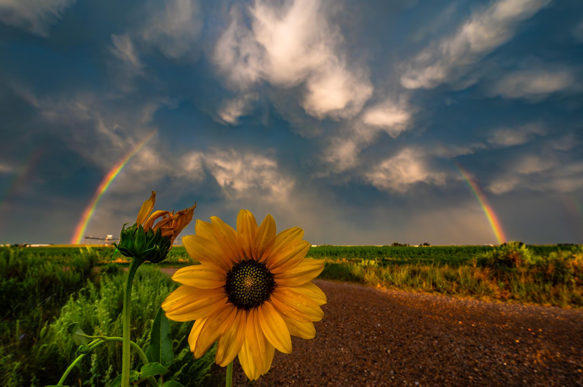 Global Photography Awards Winner - The Solitude of Storms