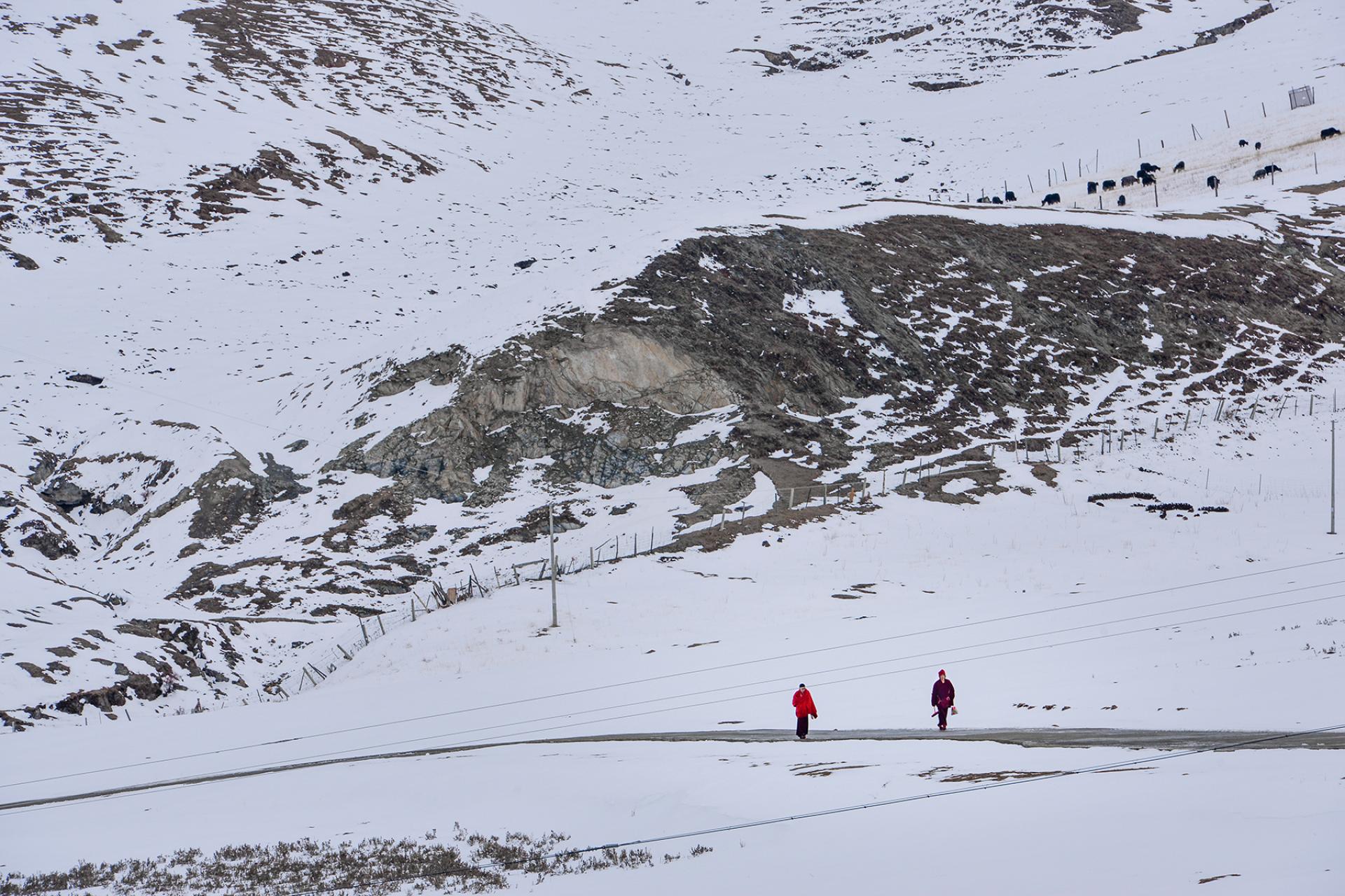 Global Photography Awards Winner - Blizzard Homeward