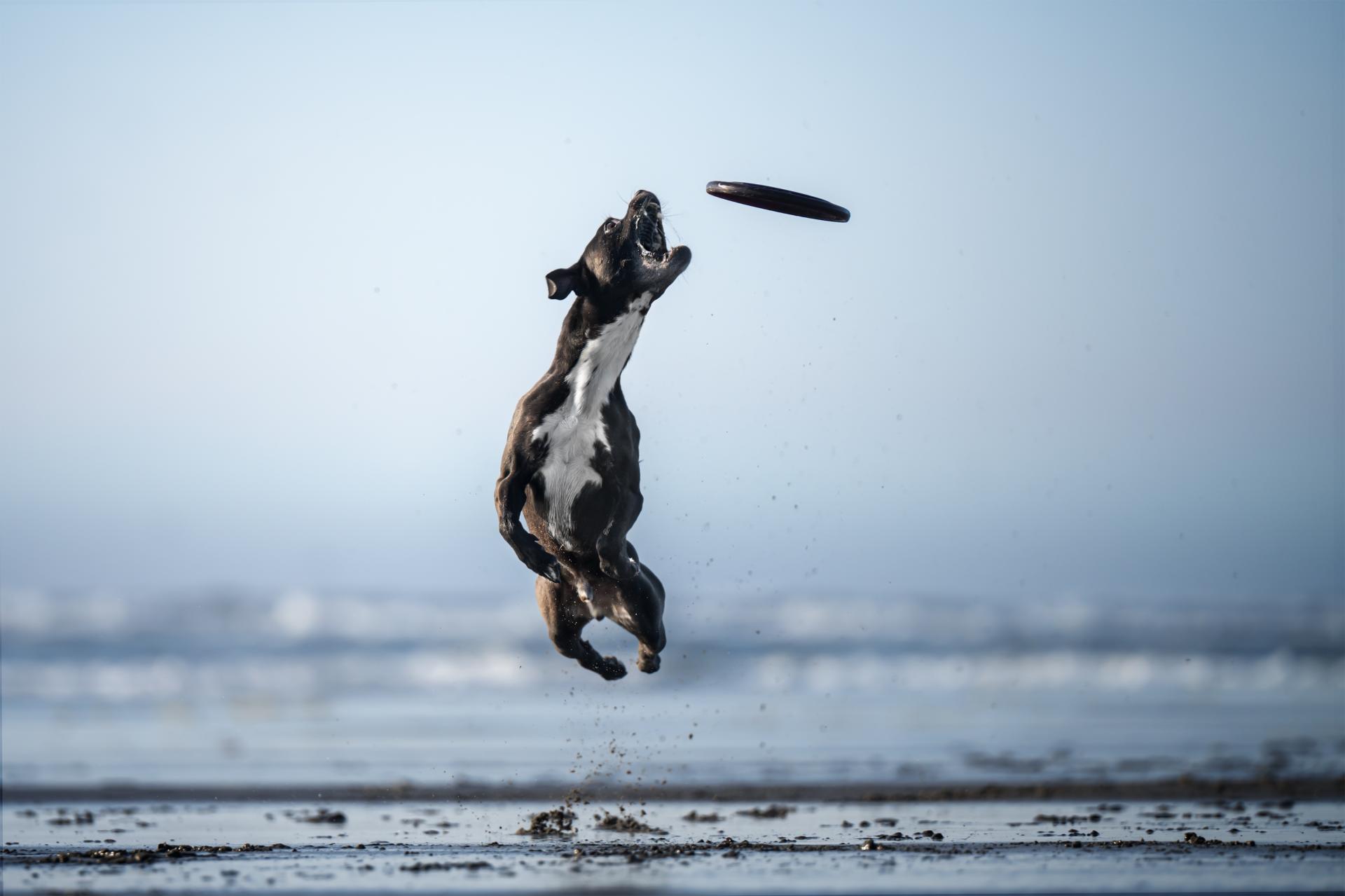 Global Photography Awards Winner - All In 