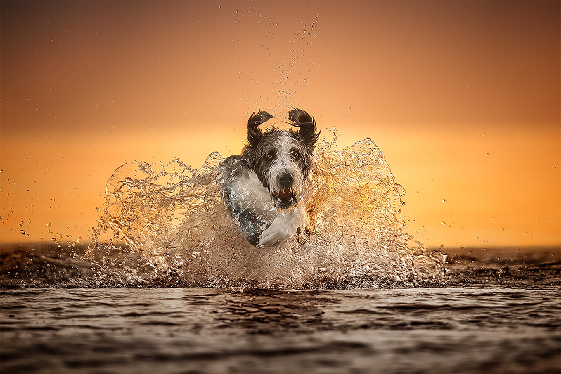 Global Photography Awards Winner - Sunrise Splash