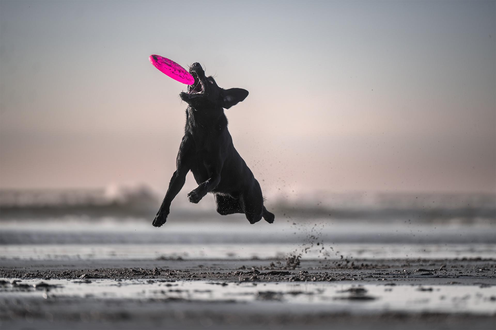 Global Photography Awards Winner - Lifted by Joy