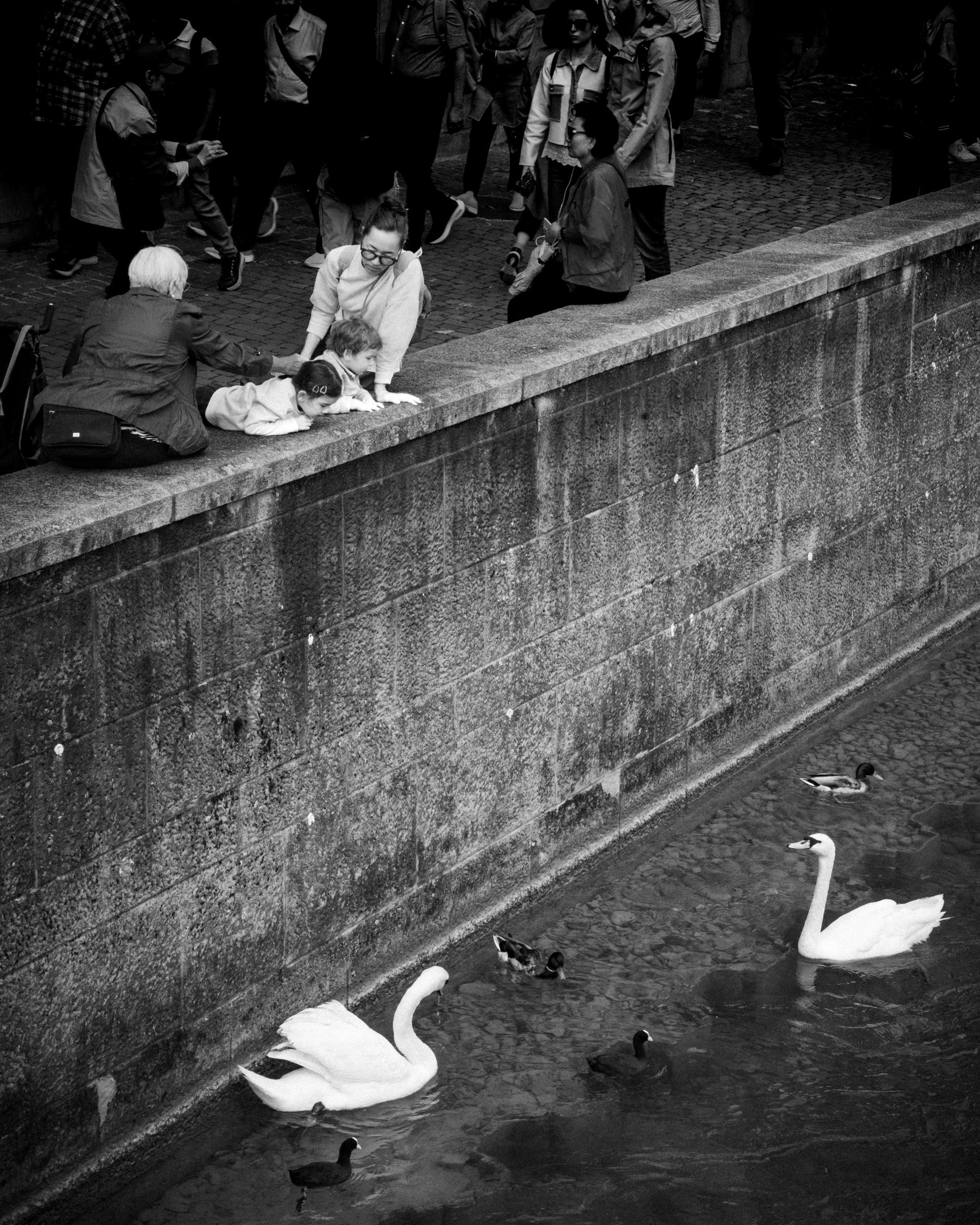 Global Photography Awards Winner - Swiss Interludes