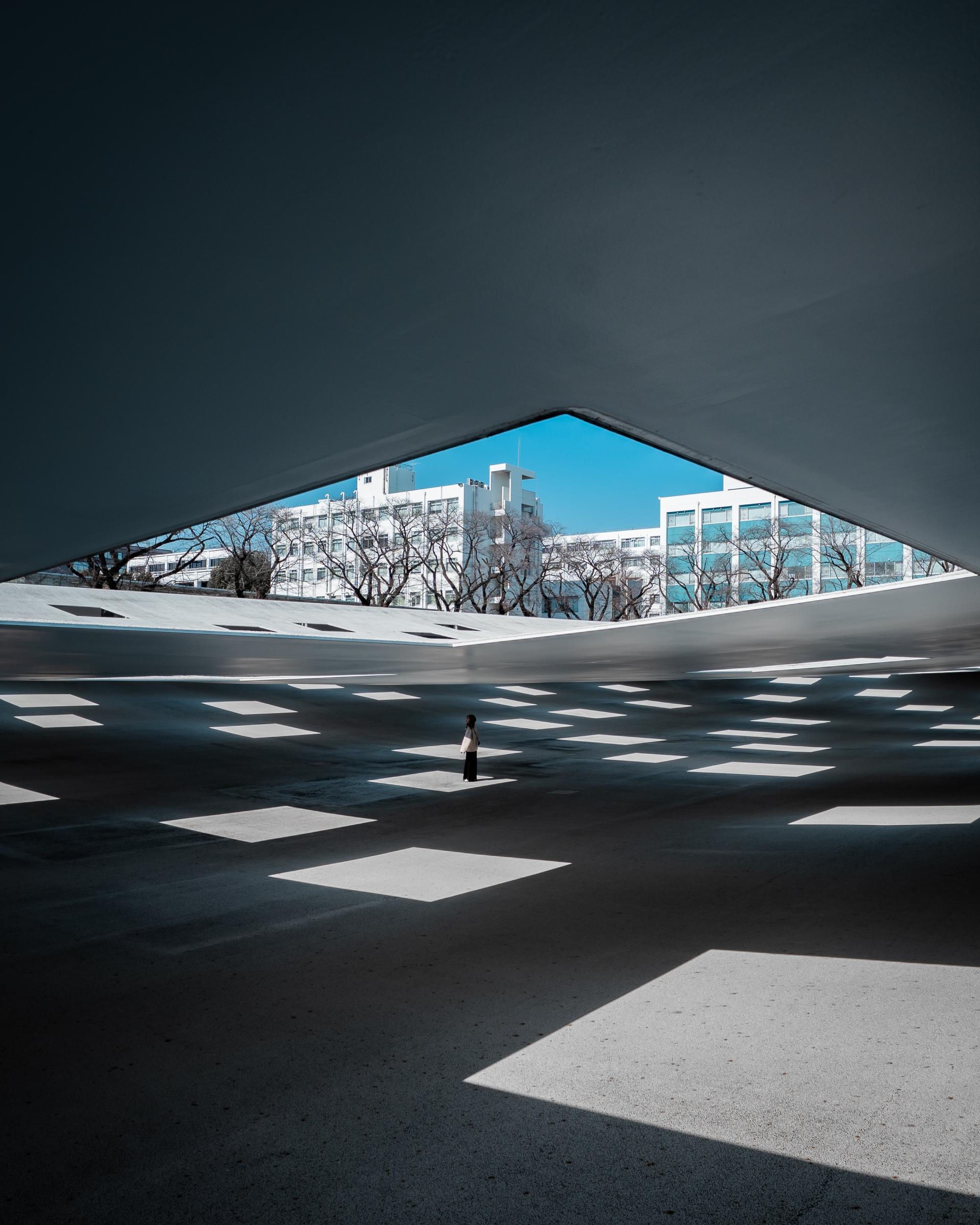 Global Photography Awards Winner - Fragments of Yin and Yang