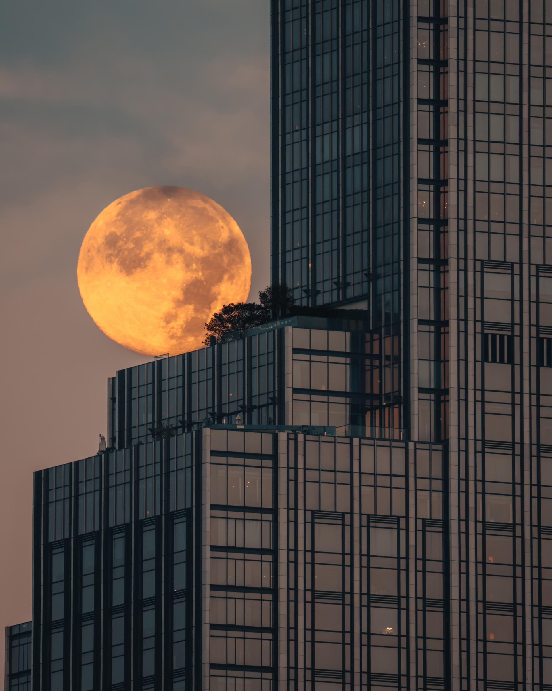 Global Photography Awards Winner - The Moon Ladder